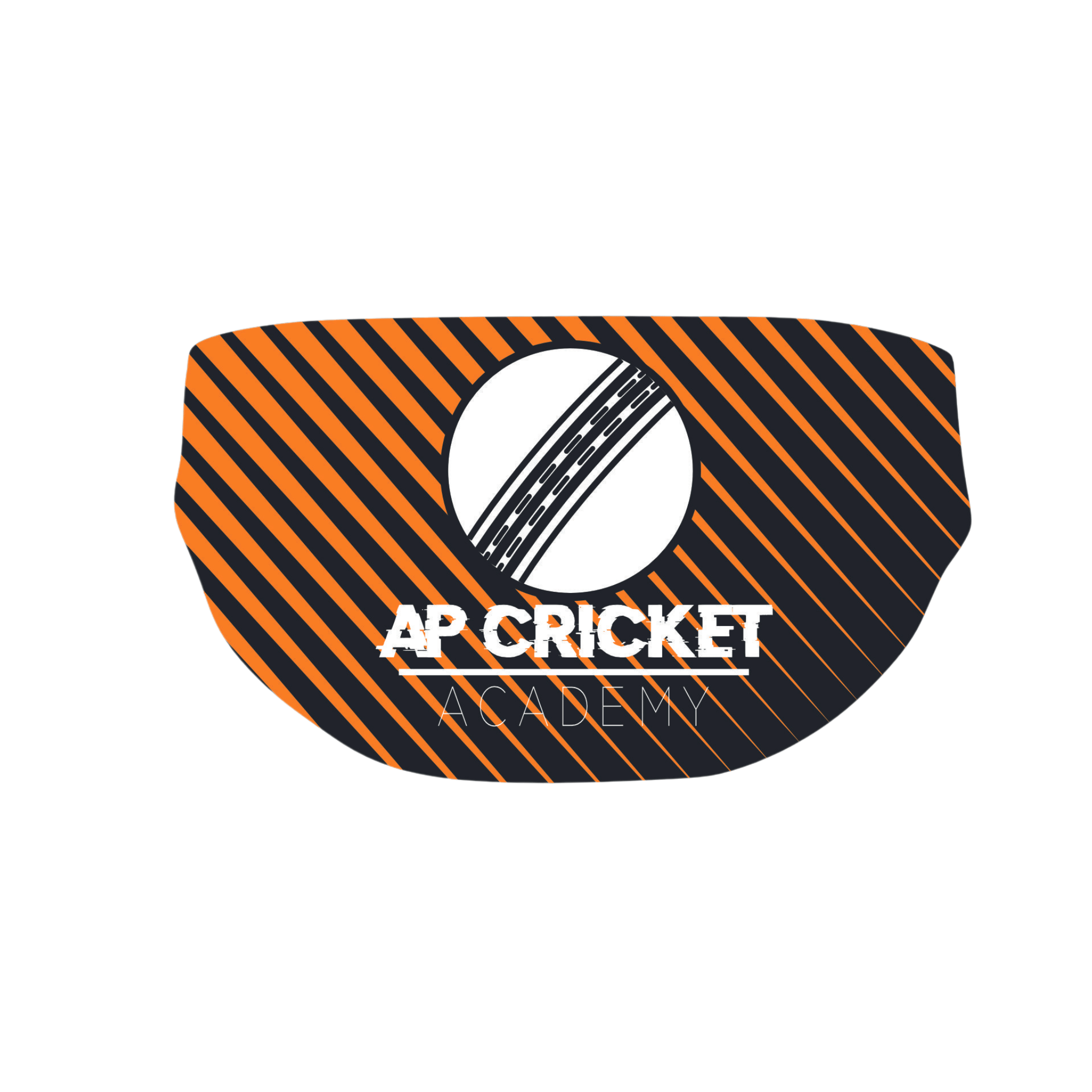 Ap Cricket Academy – AP Cricket Academy