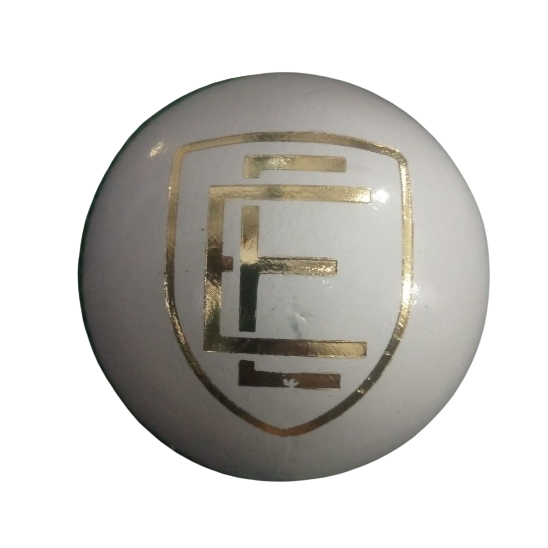 ELITE 4-Piece Leather Cricket Ball (156g)
