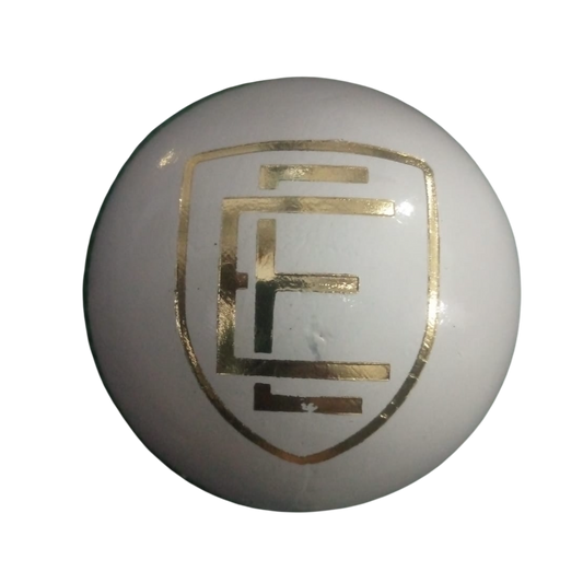 ELITE 4-Piece Leather Cricket Ball (156g)