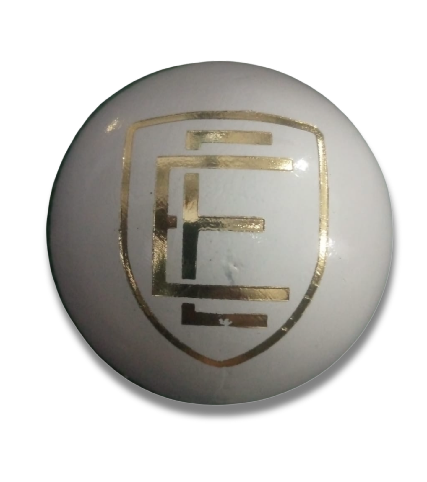 ELITE 4-Piece Leather Cricket Ball (156g)
