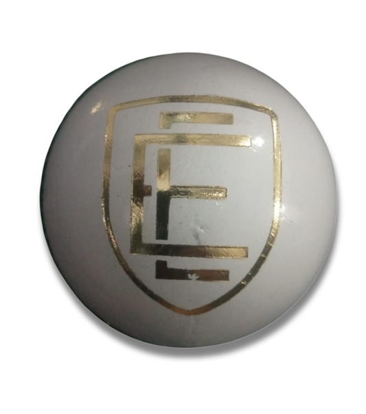 ELITE 4-Piece Leather Cricket Ball (156g)
